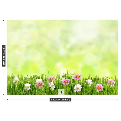 Wallpaper Grass flowers