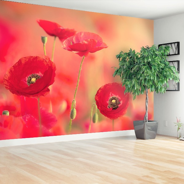 Wallpaper Red poppies