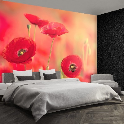 Wallpaper Red poppies