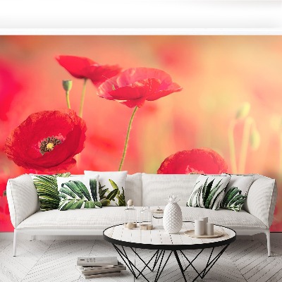 Wallpaper Red poppies