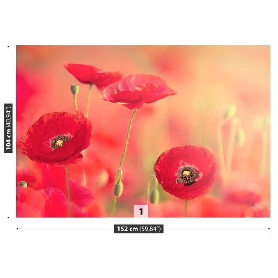 Wallpaper Red poppies