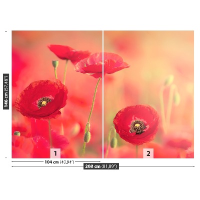 Wallpaper Red poppies