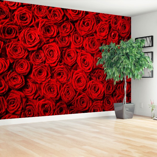 Wallpaper Red roses