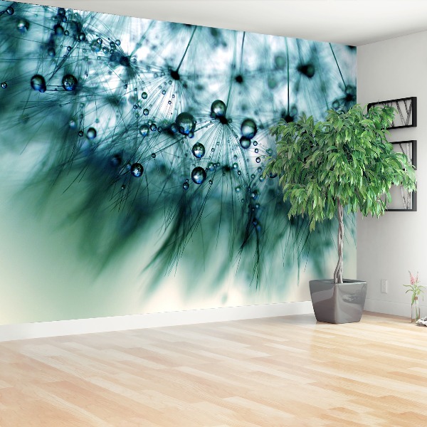 Wallpaper Dandelion blue