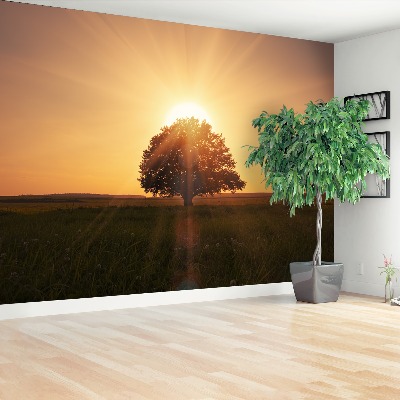 Wallpaper Tree of sunrise