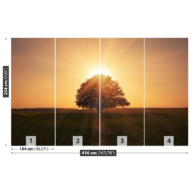 Wallpaper Tree of sunrise