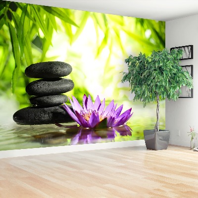 Wallpaper Lotus and zen stone