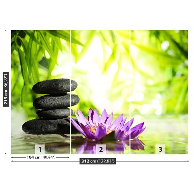Wallpaper Lotus and zen stone