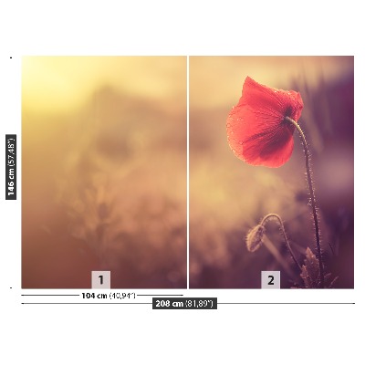 Wallpaper Poppy seed flower