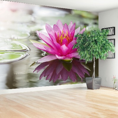 Wallpaper Pink lotus