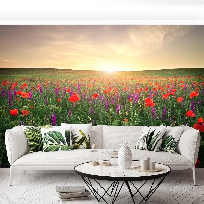 Wallpaper Poppies meadow