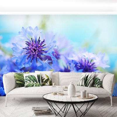 Wallpaper Blue cornflowers