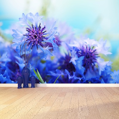 Wallpaper Blue cornflowers