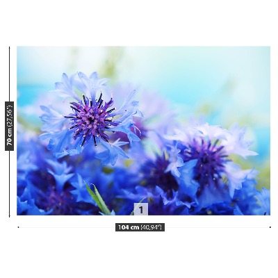 Wallpaper Blue cornflowers