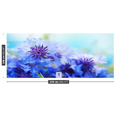 Wallpaper Blue cornflowers