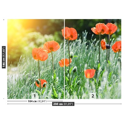 Wallpaper Poppy flowers