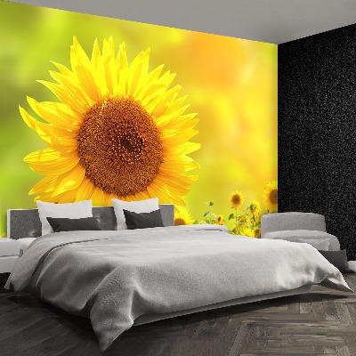 Wallpaper Yellow sunflowers