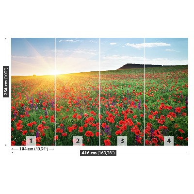 Wallpaper Poppy field