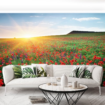 Wallpaper Poppy field