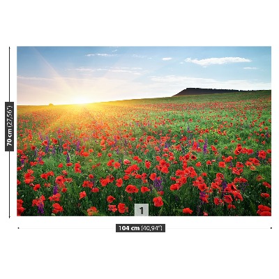 Wallpaper Poppy field