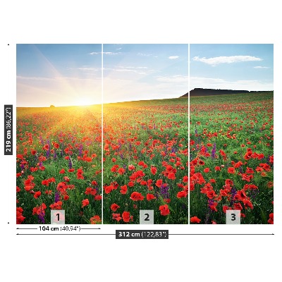 Wallpaper Poppy field