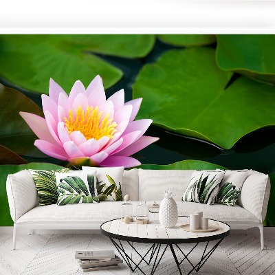 Wallpaper Lotus flower