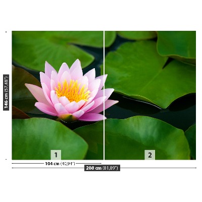 Wallpaper Lotus flower