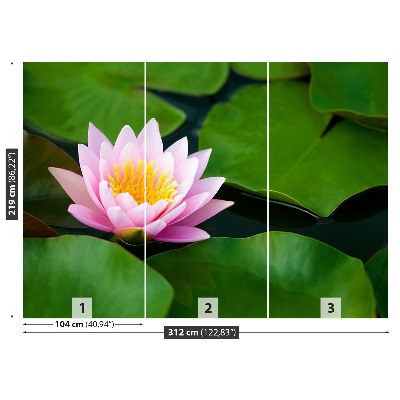 Wallpaper Lotus flower