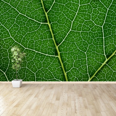 Wallpaper Green leaf