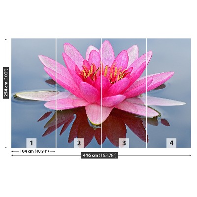 Wallpaper Pink water lily