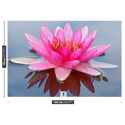 Wallpaper Pink water lily