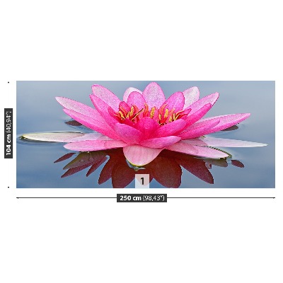 Wallpaper Pink water lily