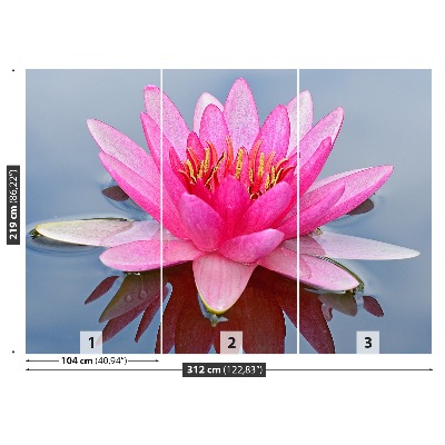 Wallpaper Pink water lily