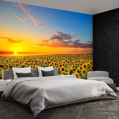 Wallpaper Field of sunflowers