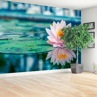 Wallpaper Pink lotus