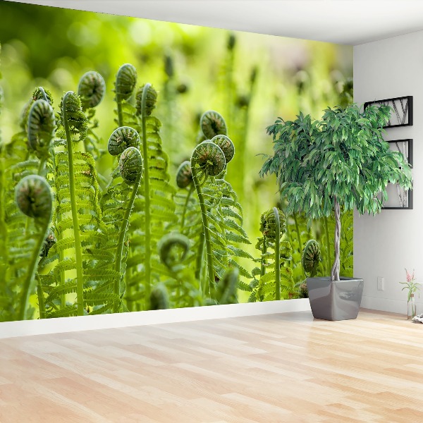 Wallpaper Green fern