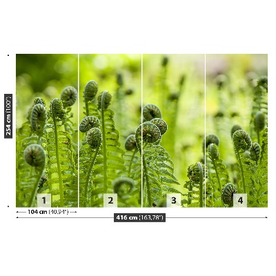 Wallpaper Green fern