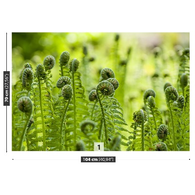 Wallpaper Green fern