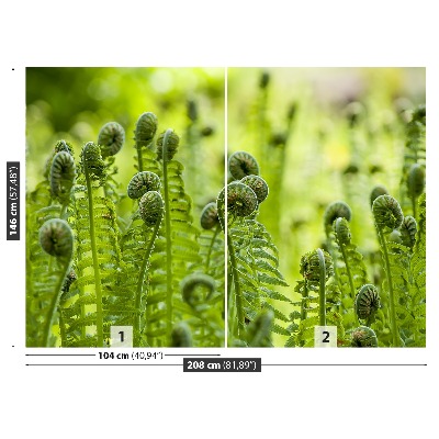 Wallpaper Green fern