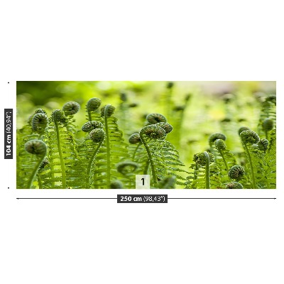 Wallpaper Green fern