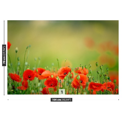 Wallpaper Poppy flowers