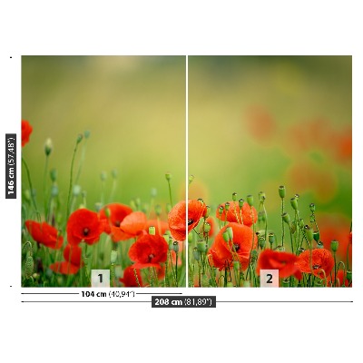 Wallpaper Poppy flowers