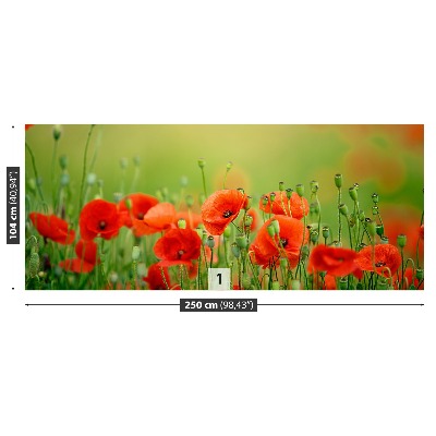 Wallpaper Poppy flowers