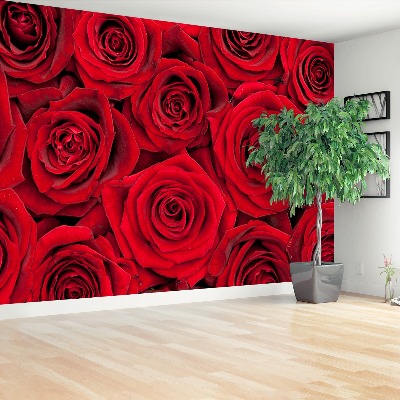 Wallpaper Red roses