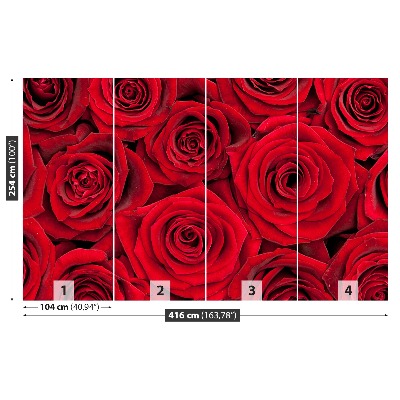 Wallpaper Red roses