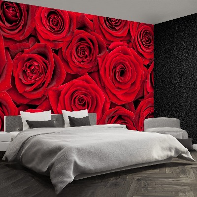 Wallpaper Red roses