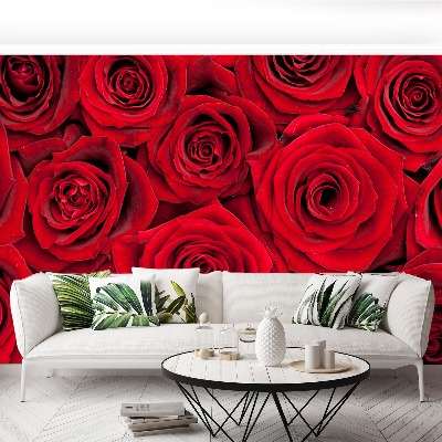 Wallpaper Red roses