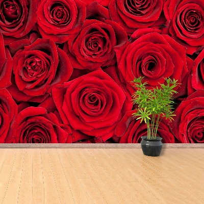 Wallpaper Red roses