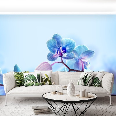 Wallpaper Tropical orchids