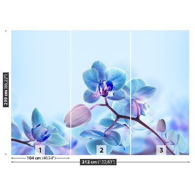 Wallpaper Tropical orchids